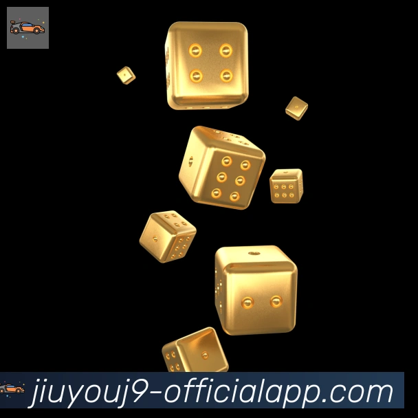 未来规划